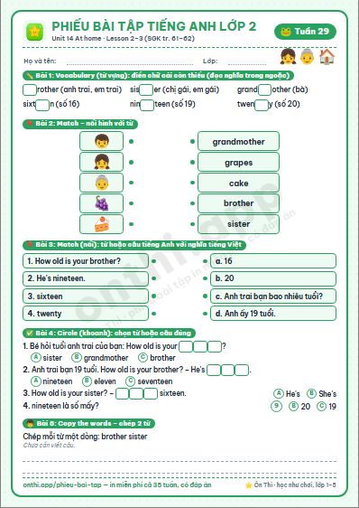Phiếu bài tập Tiếng Anh lớp 2 tuần 29: Unit 14. At home – Lesson 2, 3