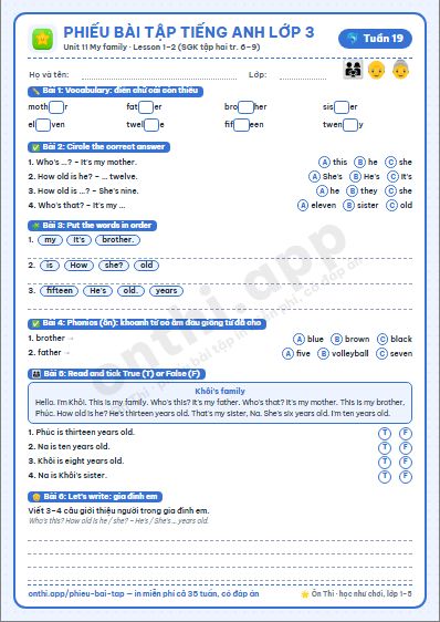Phiếu bài tập Tiếng Anh lớp 3 tuần 19: Unit 11 My family – Lesson 1, 2 (tập hai tr. 6–9)