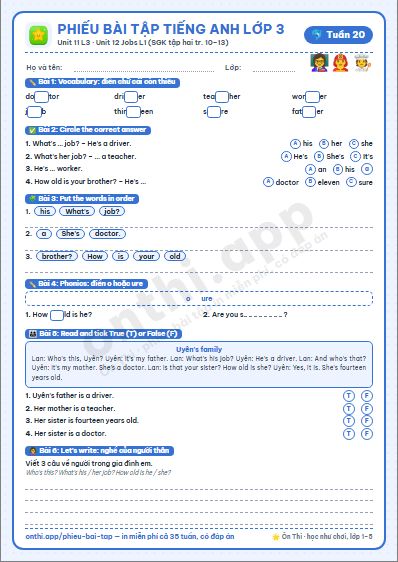 Phiếu bài tập Tiếng Anh lớp 3 tuần 20: Unit 11 – Lesson 3; Unit 12 Jobs – Lesson 1 (tập hai tr. 10–13)