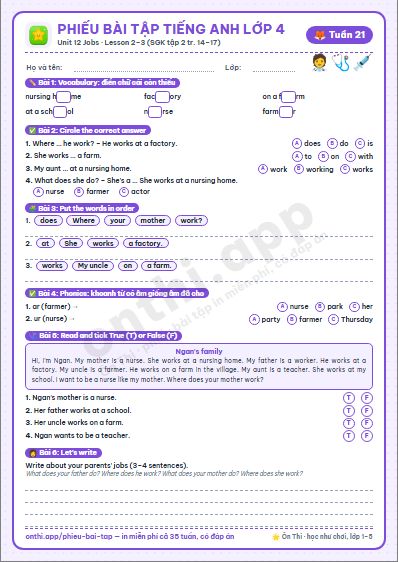 Phiếu bài tập Tiếng Anh lớp 4 tuần 21: Unit 12. Jobs – Lesson 2–3 (tập 2 tr. 14–17)