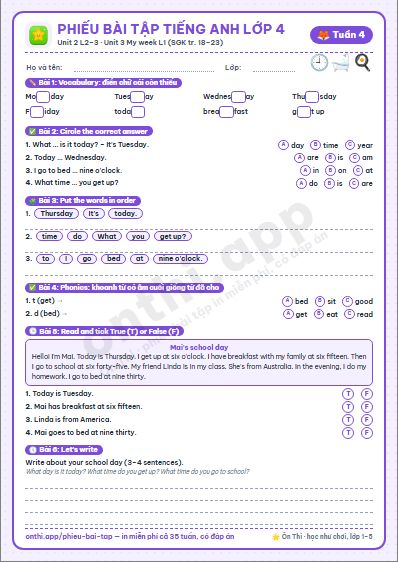 Phiếu bài tập cuối tuần Tiếng Anh lớp 4 tuần 4 đẹp, in màu: Unit 2 L2–3 · Unit 3 My week L1 (SGK tr. 18–23)