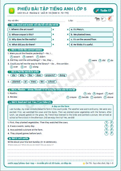 Phiếu bài tập cuối tuần Tiếng Anh lớp 5 tuần 17 đẹp, in màu: Unit 10 L3 · Review 2 · Unit 6–10 (SGK tr. 72–75)