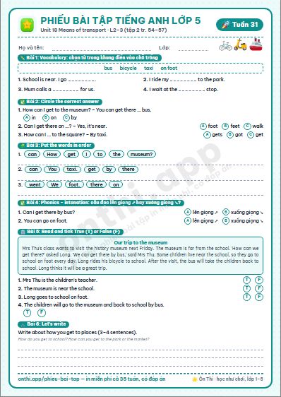 Phiếu bài tập Tiếng Anh lớp 5 tuần 31: Unit 18 Means of transport – Lesson 2–3 (tập 2 tr. 54–57)
