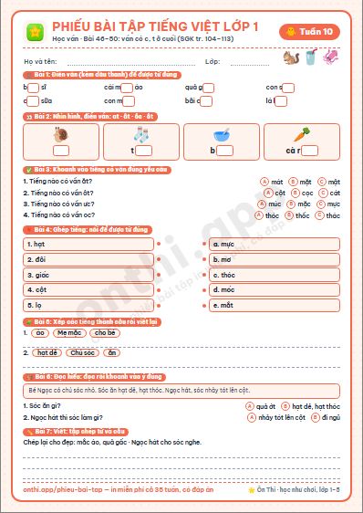 Phiếu bài tập cuối tuần Tiếng Việt lớp 1 tuần 10 đẹp, in màu: Học vần · Bài 46–50: vần có c, t ở cuối (SGK tr. 104–113)