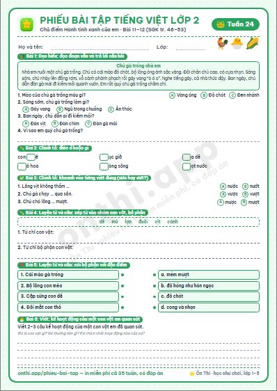 Phiếu bài tập Tiếng Việt lớp 2 tuần 24: Sự tích cây thì là · Bờ tre đón khách