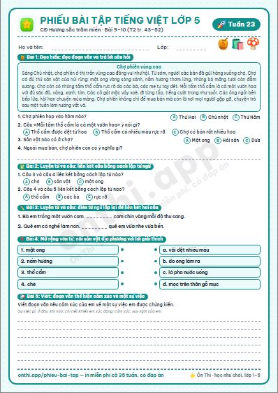 Phiếu bài tập Tiếng Việt lớp 5 tuần 23: Hội thổi cơm thi ở Đồng Vân · Những búp chè trên cây cổ thụ