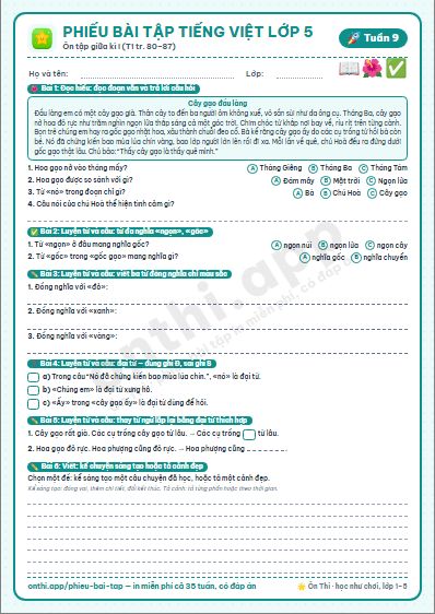 Phiếu bài tập cuối tuần Tiếng Việt lớp 5 tuần 9: Ôn tập và đánh giá giữa học kì I (tr. 80–87)